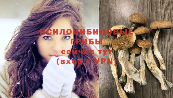 ПСИЛОЦИБИНОВЫЕ ГРИБЫ Зеленодольск